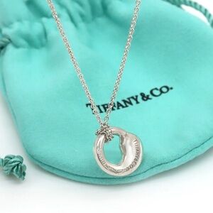 Tiffany & Co Elsa Peretti Eternal Circle Pendant Necklace 8g Best Offer